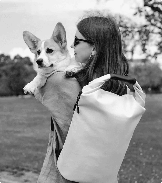 Happy puppy with certified health check