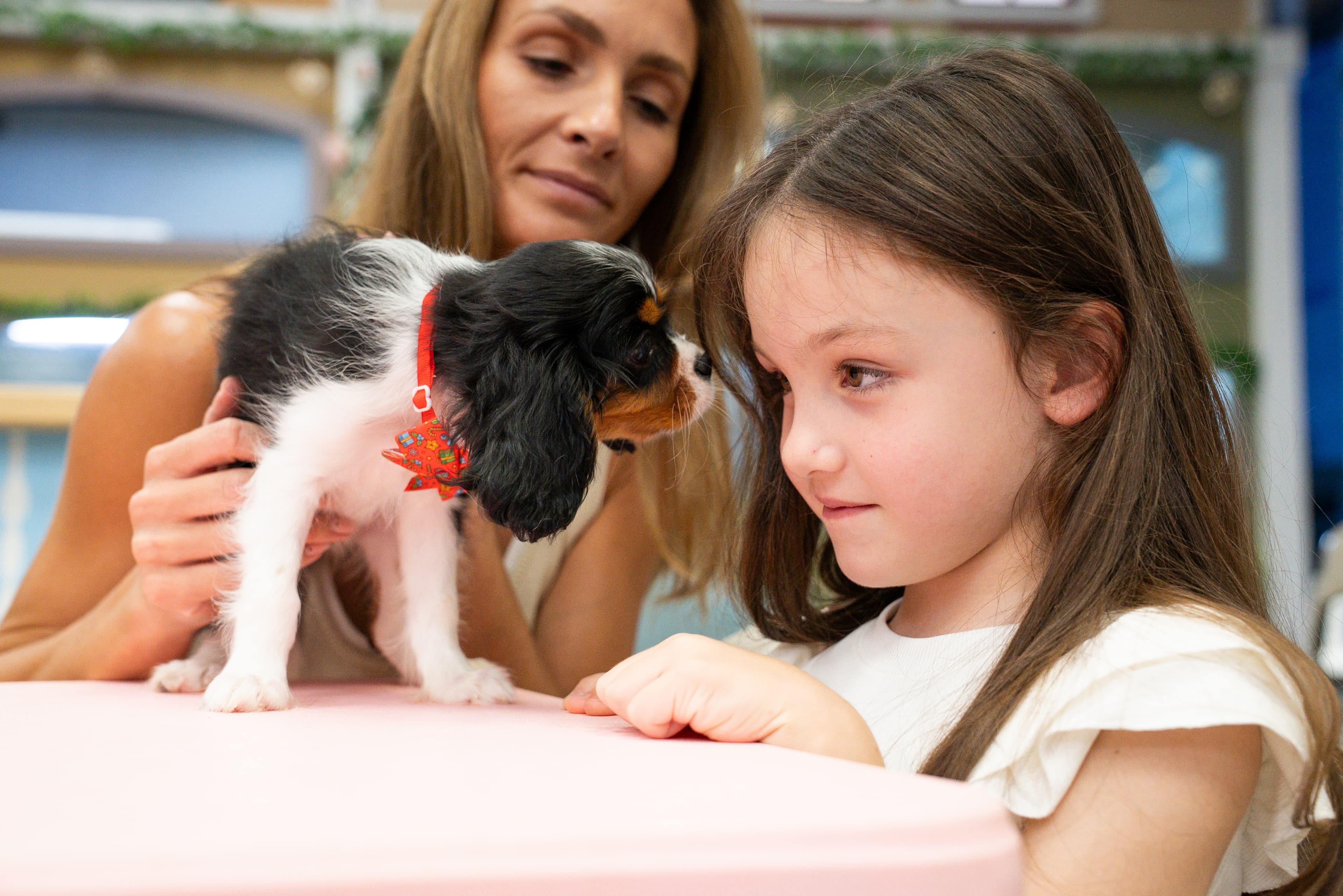 Adorable puppy waiting to meet you