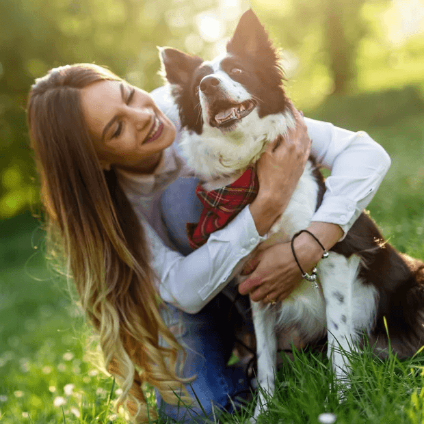 Happy healthy puppy with vet certification