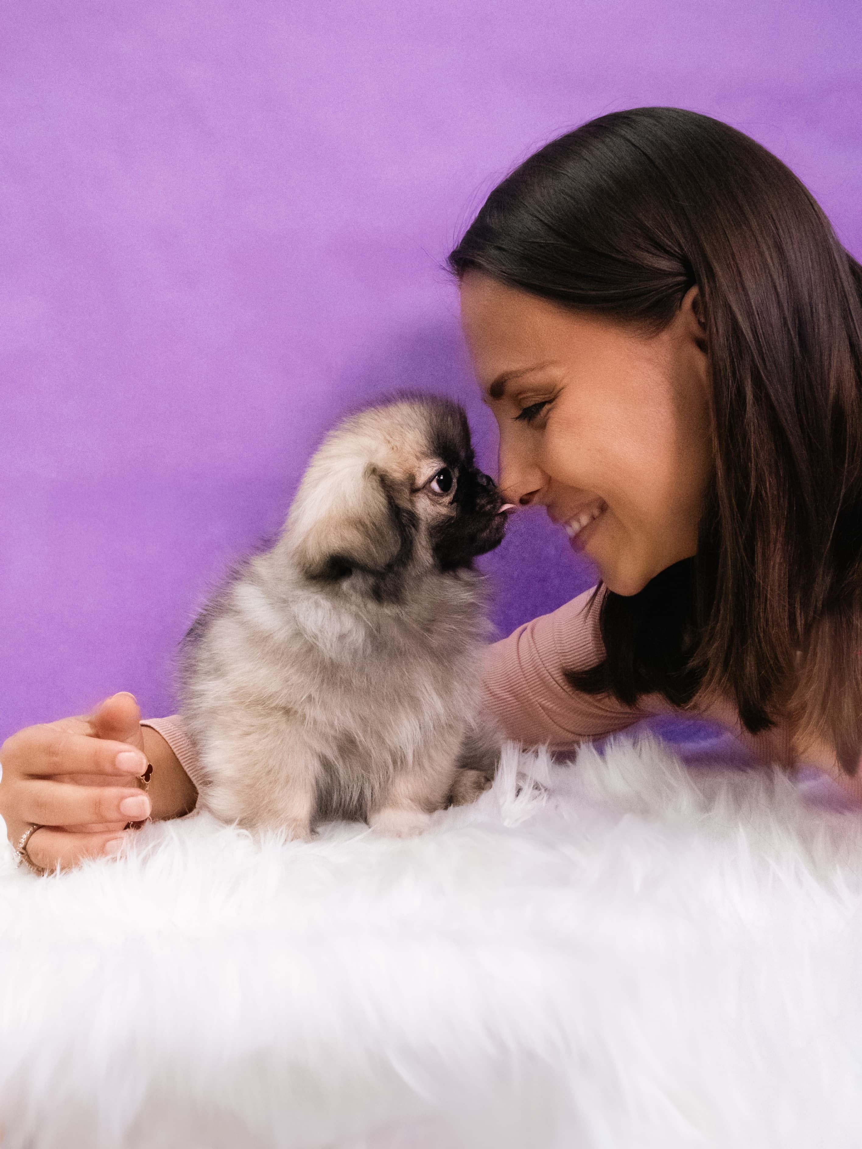 Preparing for a new puppy guide