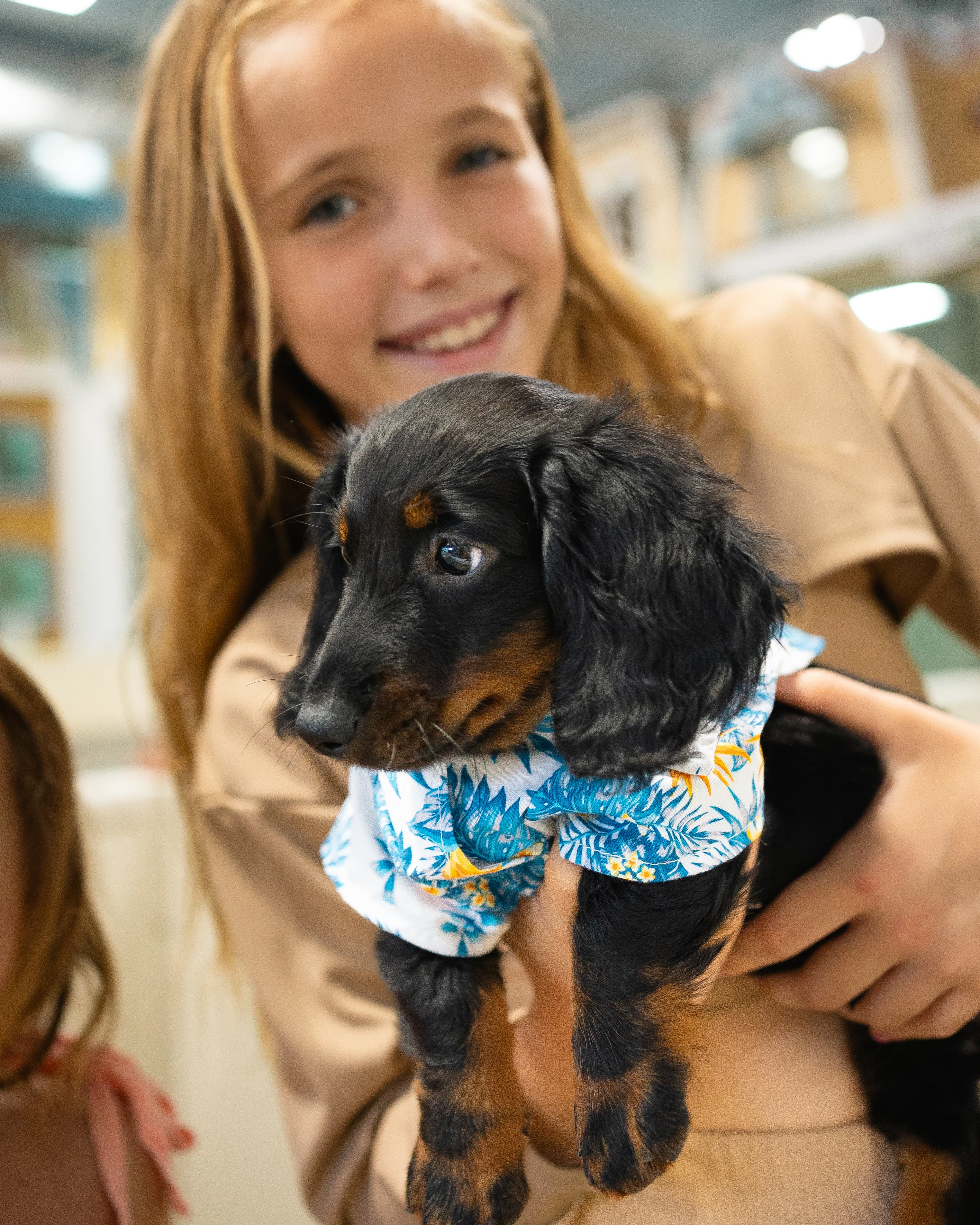 Child holding a puppy in a loving environment